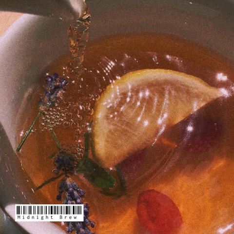 Midnight Brew