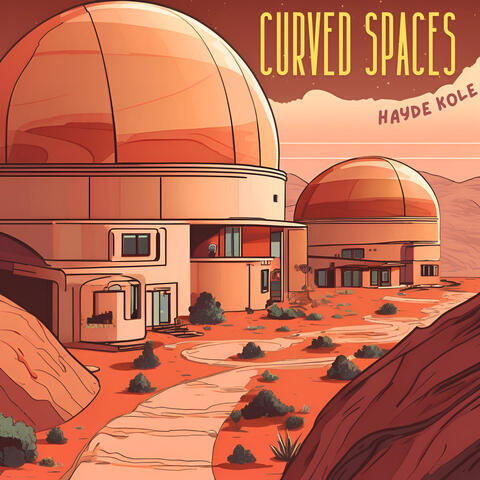 Curved Spaces