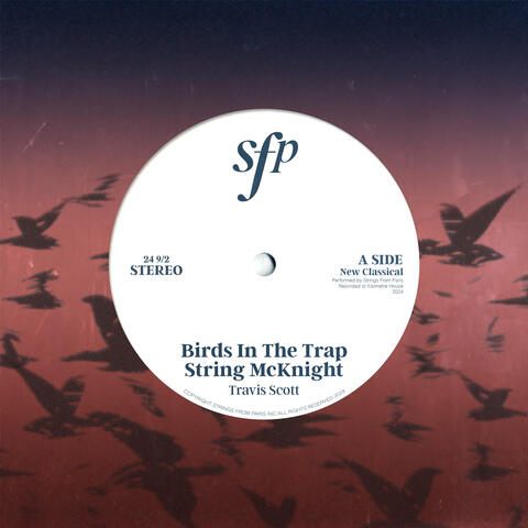Birds In The Trap String McKnight