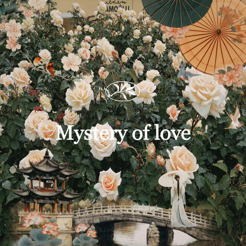 Mystery Of Love