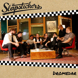 Dromedar