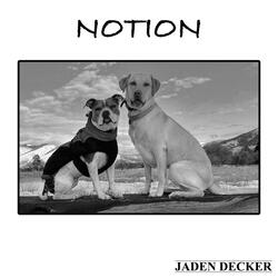 Notion