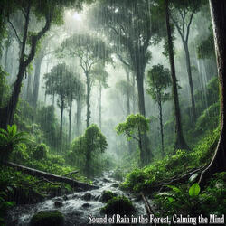 Sound of Rain in the Forest, Fulfillment in the Forest