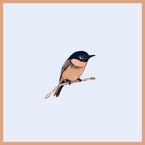 Fly Free