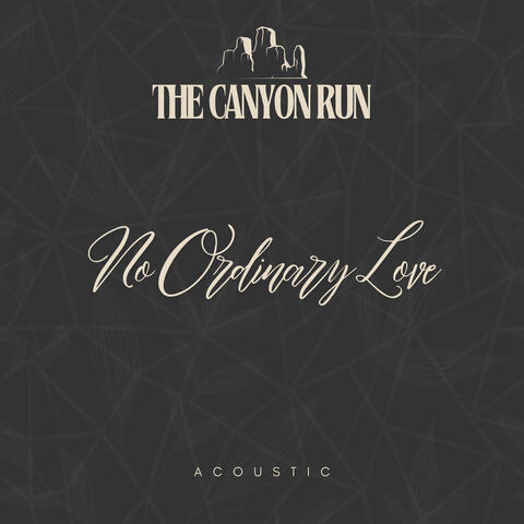 No Ordinary Love