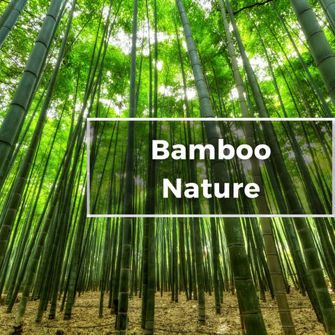 Bamboo Life