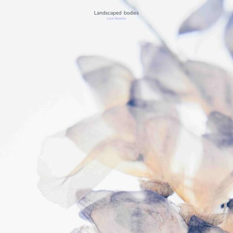 Landscaped bodies