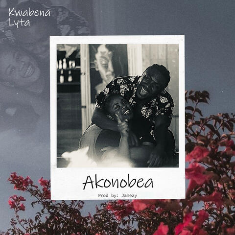 Akonobea