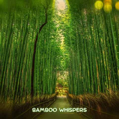Bamboo Whispers
