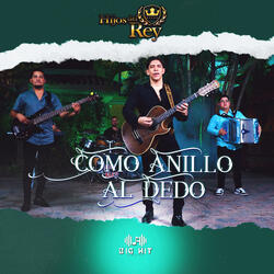 Como anillo al dedo