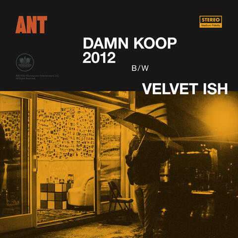 Damn Koop 2012 / Velvet Ish