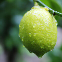Nhạc Hay Quá