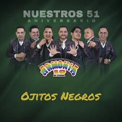 Ojitos Negros
