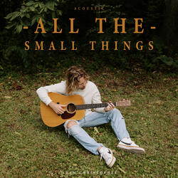 All the Small Things