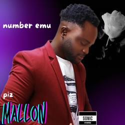 number emu