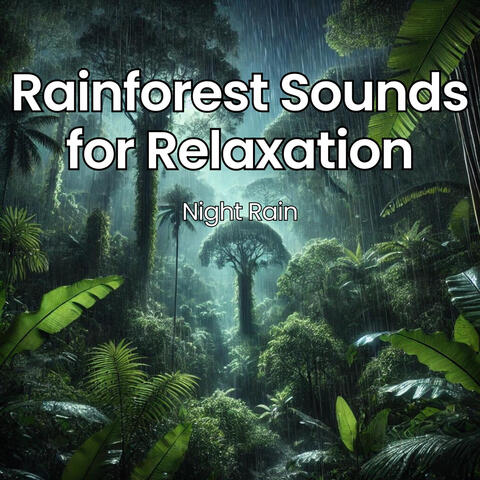 Rainforest Sounds for Relaxation