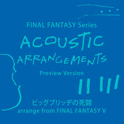 Acoustic: Battle at the Big Bridge