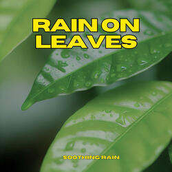 Tranquil Rain Beneath the Trees