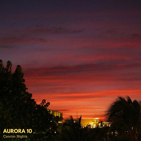 Cancun Nights