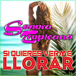 Si Quieres Verme Llorar