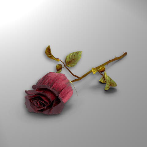 deserve