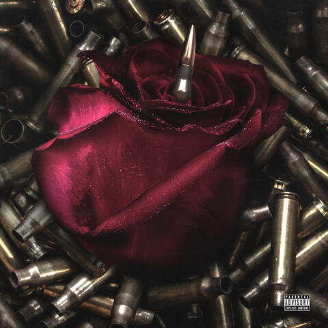 Guns & Roses