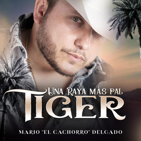 Una Raya Más Pal Tiger