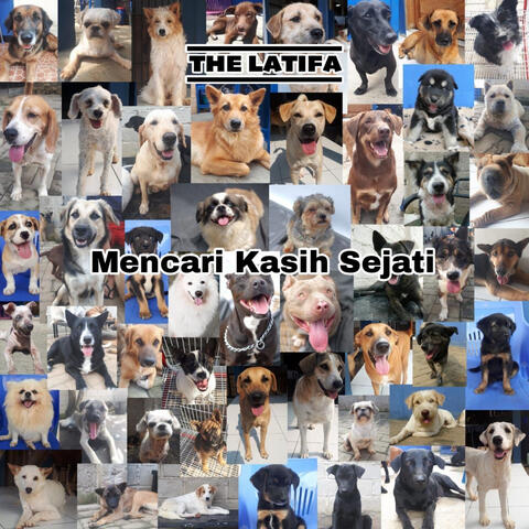 Latifa