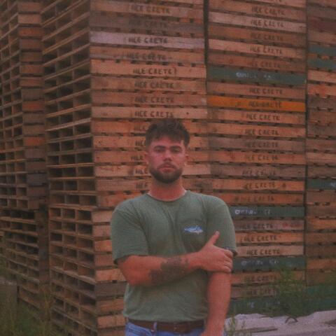 In the Pines