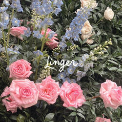 Linger - Acoustic