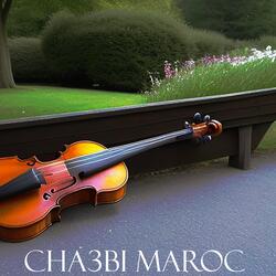 Cha3bi Nayda Chti7 Chaabi Ambiance Mariage Ambiance Marocaine