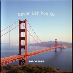 Never Let You Go
