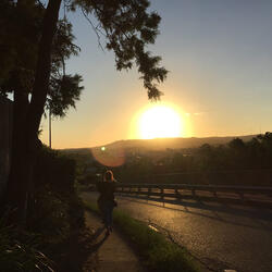 and the curlews screamed