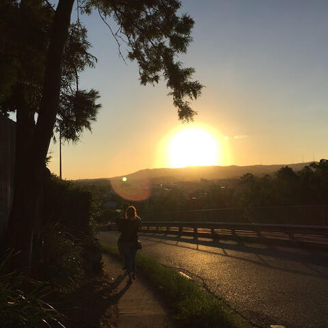 extinction of animals: extinction