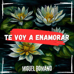 te voy a enamorar