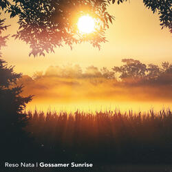 Gossamer Sunrise