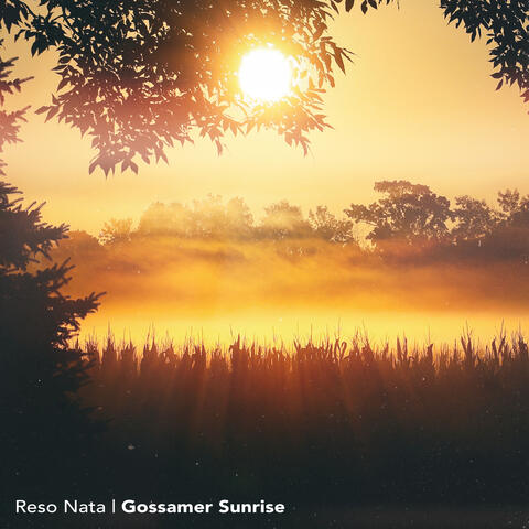 Gossamer Sunrise