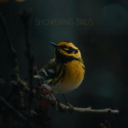 Showering Birds