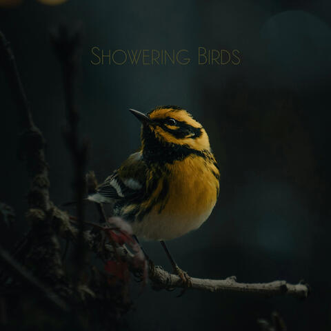 Showering Birds