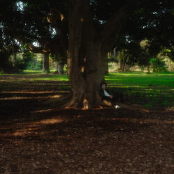 On the Run (Interlude)