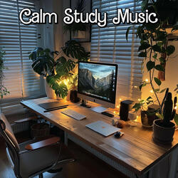 Calm Study Music
