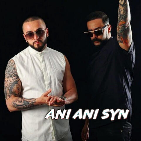 Ani Ani Syn