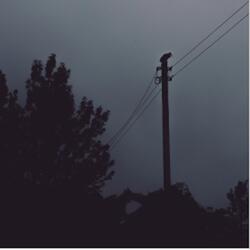 Run away