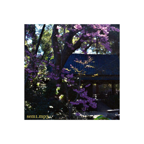 sem1.mp3