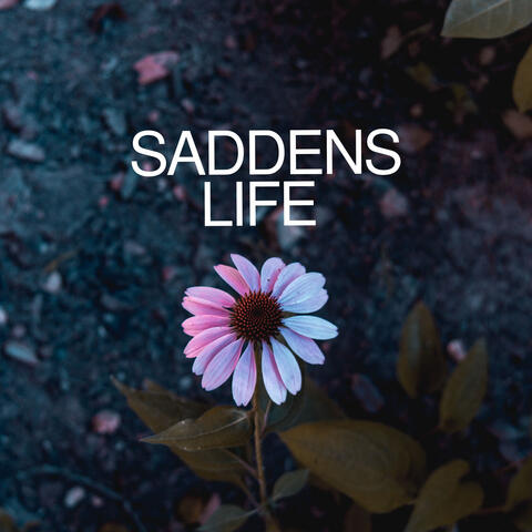 Saddens Life