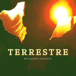 Terrestre