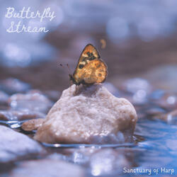 Butterfly Stream
