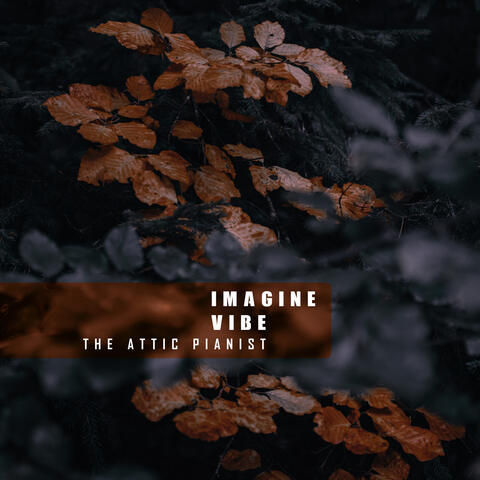 Imagine Vibe