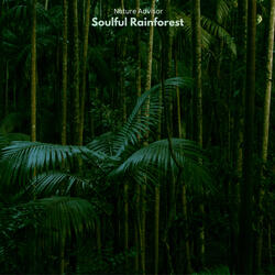 Soulful Rainforest