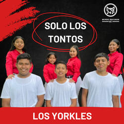 Solo los Tontos